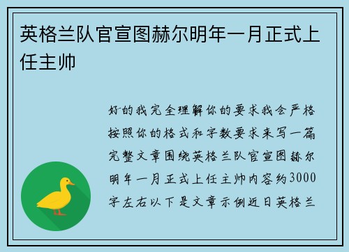 英格兰队官宣图赫尔明年一月正式上任主帅